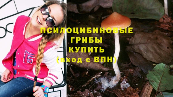 таблы Мегион