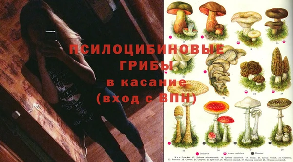 таблы Мегион