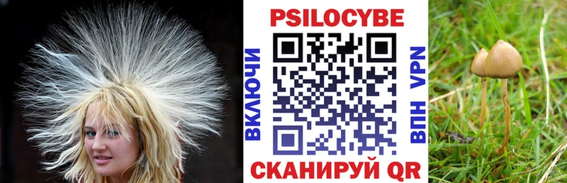 Псилоцибиновые грибы мухоморы  гидра маркетплейс  Оханск 